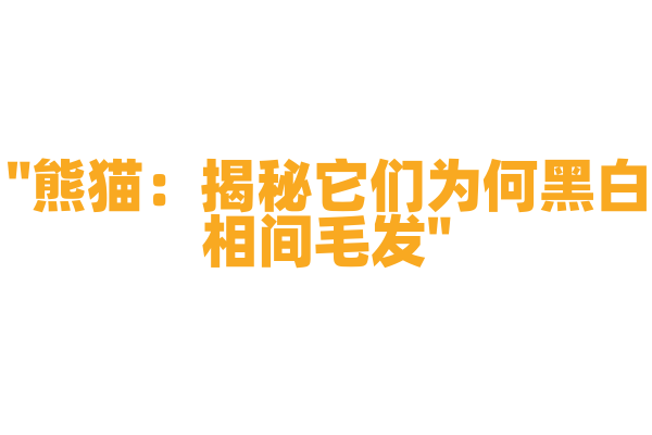 "熊猫：揭秘它们为何黑白相间毛发"